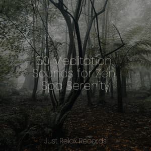 50 Meditation Sounds for Zen Spa Serenity - Chakra Balancing Sound Therapy