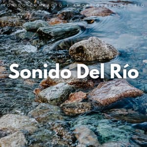 Sonido Compacto Y Amortiguado Del Río - Agua calmante