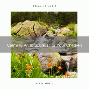 Calming Wind Sounds For Your Children - White Noise Hour