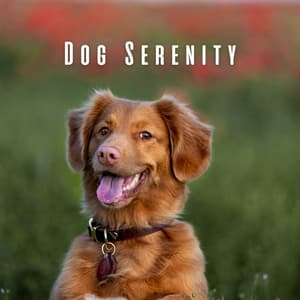 Dog Serenity: Chill Music for Happy Tails - Elemental Samples