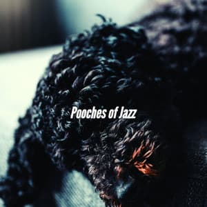Pooches of Jazz - Music for Dogs Playlist