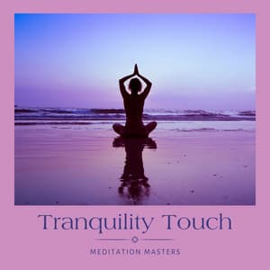 Tranquility Touch: Spa Music - Meditation Masters