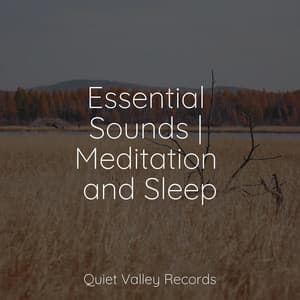 Essential Sounds | Meditation and Sleep - SleepTherapy