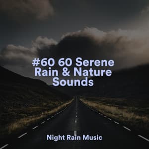 #60 60 Serene Rain & Nature Sounds - Nature Sounds Nature Music