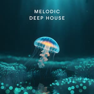 Melodic Deep House - Ibiza Deep House