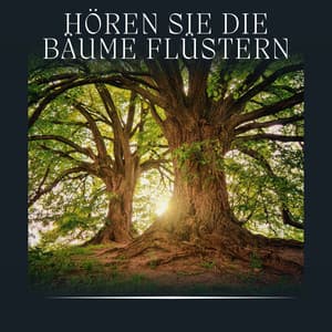 Hören Sie die Bäume Flüstern - Waldgeräusche