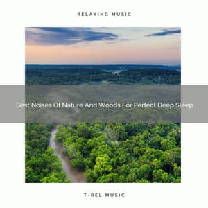 Best Noises Of Nature And Woods For Perfect Deep Sleep - Sleep Dimension