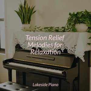 Tension Relief Melodies for Relaxation - SD