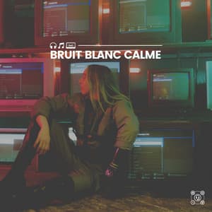 Bruit blanc calme - Bruit Brun