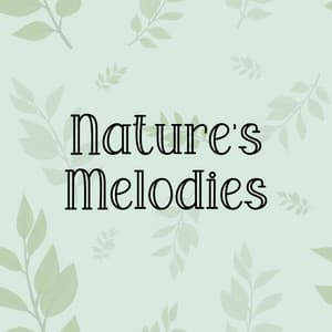 Nature's Melodies - Rain Sounds Nature Collection
