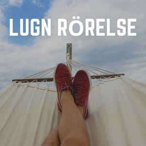 Lugn Rörelse - Avslappnande Meditation Akademi