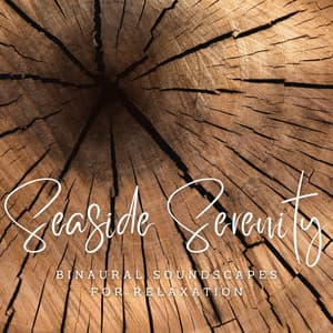 Seaside Serenity: Binaural Soundscapes for Relaxation - Pure Binaural Beats