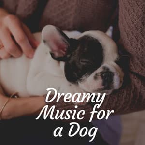 Dreamy Music for a Dog - Dog Relaxation