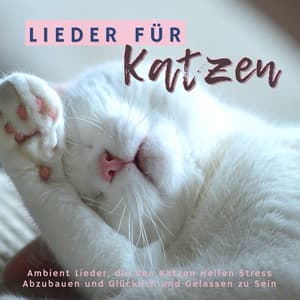 Lieder für Katzen: Ambient Lieder, die den Katzen Helfen Stress Abzubauen und Glücklich und Gelassen zu Sein - Cat Whisper