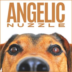 Angelic Nuzzle - Calm Dog Music