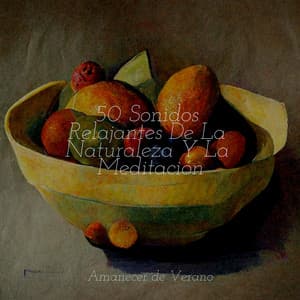 50 Sonidos Relajantes De La Naturaleza Y La Meditación - Música Relajante para Bebés