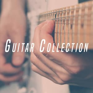 Guitar Collection - Afternoon Acoustic