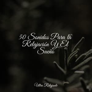 50 Sonidos Para la Relajación Y El Sueño - El hada de las canciones de cuna