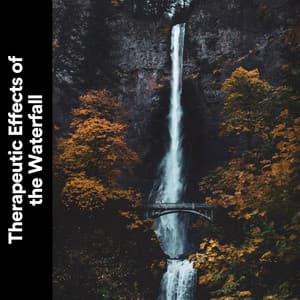 Therapeutic Effects of the Waterfall - River Sounds