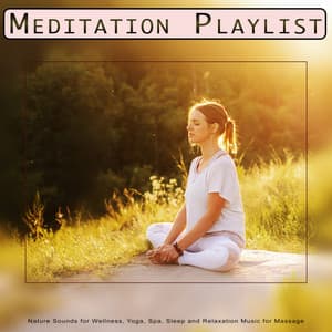 Meditation Playlist: Nature Sounds for Wellness, Yoga, Spa, Sleep and Relaxation Music for Massage - Meditation Playlist