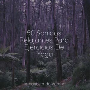 50 Sonidos Relajantes Para Ejercicios De Yoga - Rockabye Lullaby