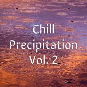 Chill Precipitation Vol. 2 - Calm Work Music