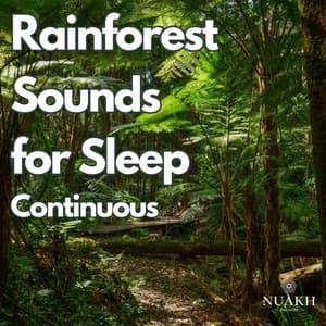 Rainforest Sounds for Sleep - Relaxing Rain Sounds
