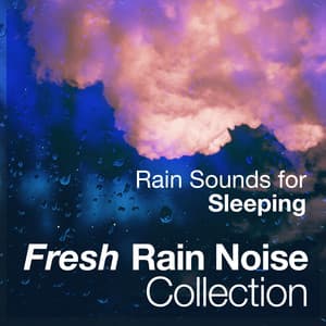 Fresh Rain Noise Collection - Rain Sounds for Sleeping