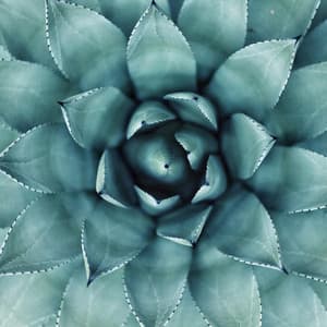 Yoga Music - Positive Music