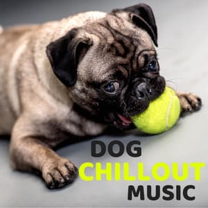 Dog Chillout Music – Calming Songs for Dogs with Relaxing Nature Sounds for Deep Sleep - Good Dog Music