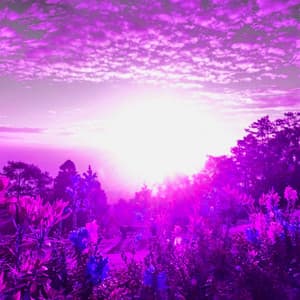 Ambiance for Training Horizons - Relaxing Piano Music Cool