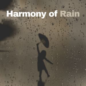 Harmony of Rain - Rainfall Place