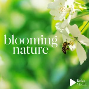Blooming Nature - Laurent Dury