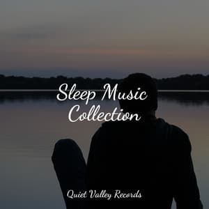 Sleep Music Collection - Water Spa