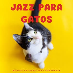 Jazz Para Gatos: Música De Piano Para Ronronear - Lista de reproducción Classy Bossa Piano Jazz