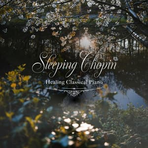 眠れるショパン〜ヒーリングクラシック〜 - Healing Energy