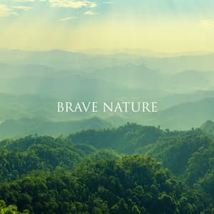 Brave Nature: Listen to Nature, Opening the Mind, Beautiful Sounds of Forest, Birds, Waves - Relaxing Nature Sounds Collection