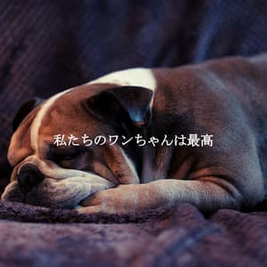 私たちのワンちゃんは最高 - Cool Jazz Relaxation