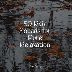 50 Rain Sounds for Pure Relaxation - Forest Soundscapes