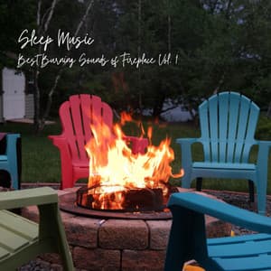 Sleep Music: Best Burning Sounds of Fireplace Vol. 1 - Sleeping Music For Dogs