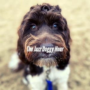 The Jazz Doggy Hour - Dogs at Home