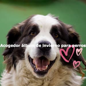 Acogedor álbum de invierno para perros - Playlist for Nighttime Calm