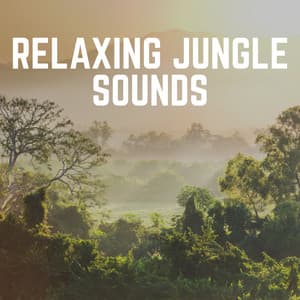 Relaxing Jungle Sounds - Weather Garden
