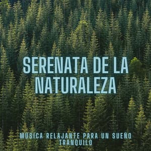 Serenata De La Naturaleza: Música Relajante Para Un Sueño Tranquilo - Orquesta de la Naturaleza