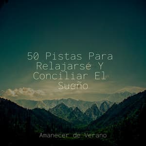 50 Pistas Para Relajarse Y Conciliar El Sueño - Sonidos De Truenos y Lluvia