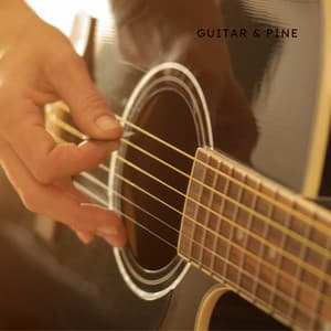 Guitar & Pine - Jazz Guitar