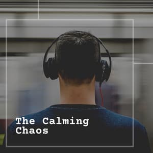 The Calming Chaos - White Noise Radiance