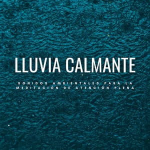 Lluvia Calmante: Sonidos Ambientales Para La Meditación De Atención Plena - Meditación Lluvia Sonidos