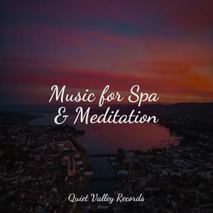 Music for Spa & Meditation - Relax Meditation Sleep