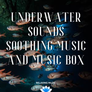 Underwater Sounds, Soothing Music and Music Box - Relaxing Muzic